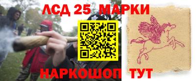 скорость Обнинск
